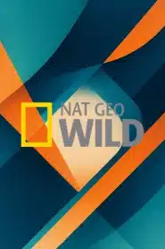 Nat Geo Wild HD