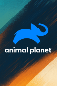 Animal Planet