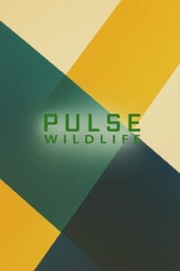 Pulse Wildlife