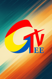 Gee TV