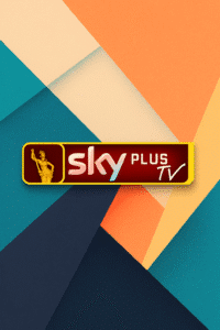 Sky Plus TV