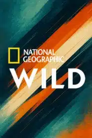 National Geographic Wild